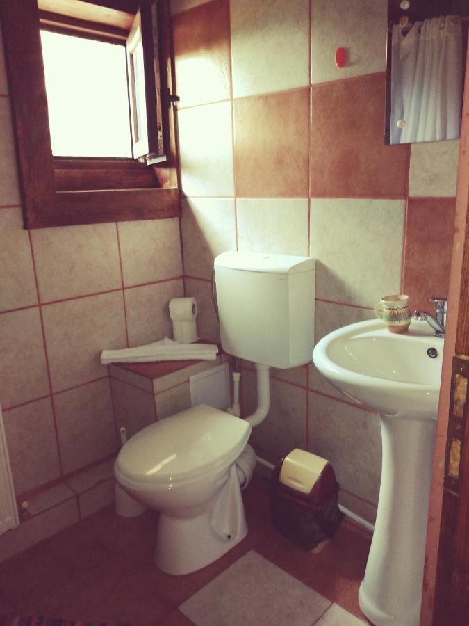 Cabana Soarelui Retezat Nucsoara  エクステリア 写真