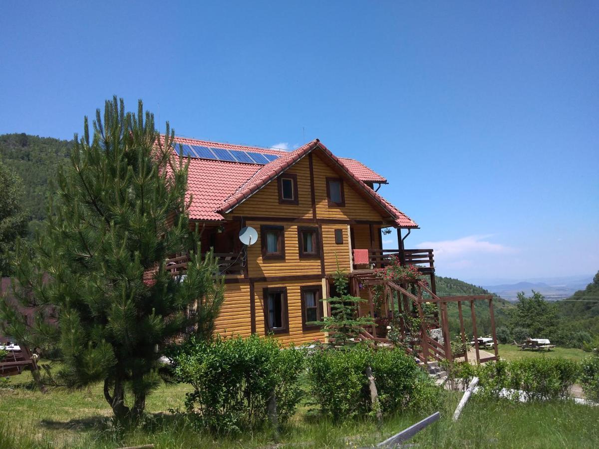 Cabana Soarelui Retezat Nucsoara  エクステリア 写真