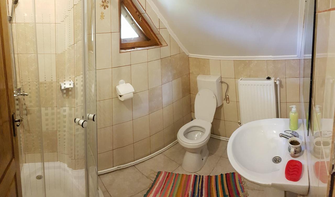 Cabana Soarelui Retezat Nucsoara  エクステリア 写真